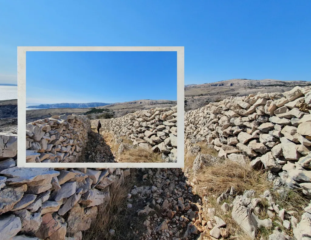 Enchanting Vela Luka Beach, dry stone walls (suhozid). Photo credit Zdravko R.