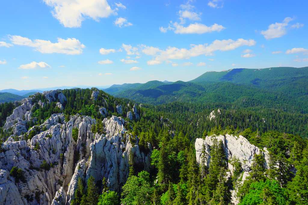 Vihoraški Put: Hiking Through the Hidden Heart of Gorski Kotar