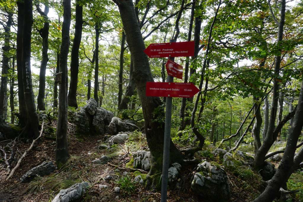 Hike to Mali Golak: a scenic forest peak in Trnovski Gozd  