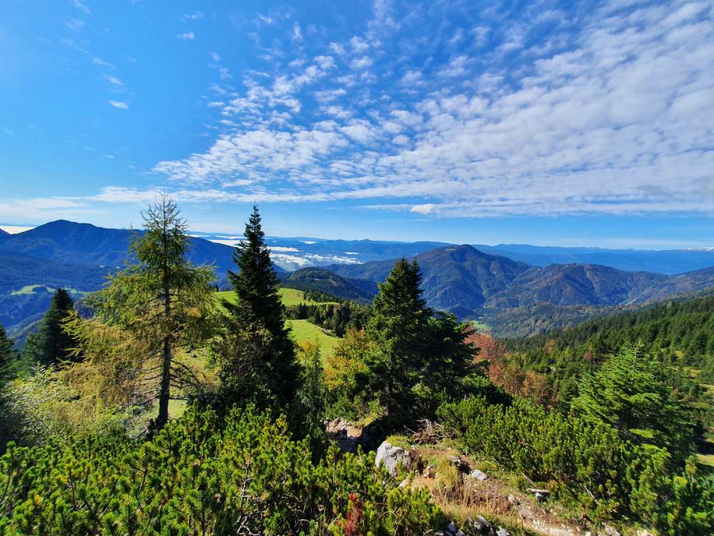 Hiking the borderline: Košuta slopes (Veliki Vrh) – a grassy ridge paradise in the Karawanks