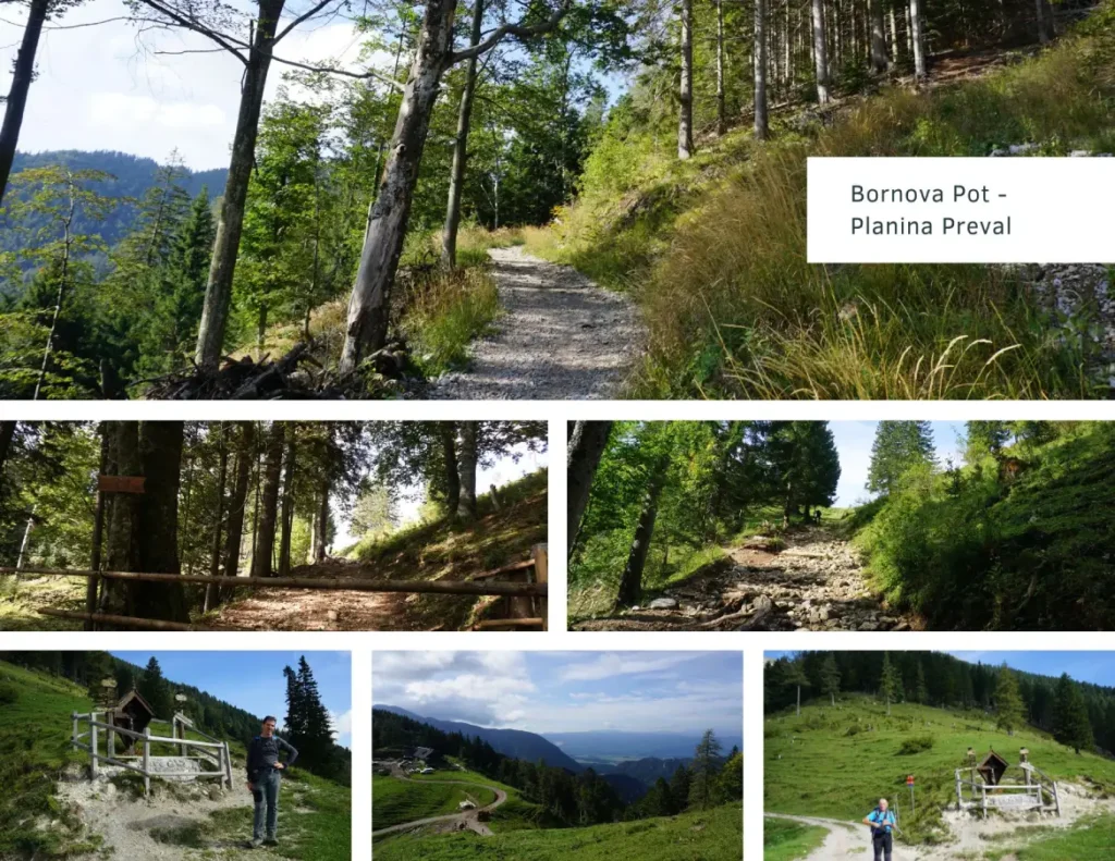 Begunjščica, along Born’s Path towards Planina Preval. Photo © Z.R., M.R.