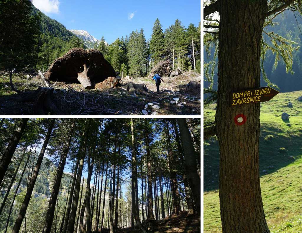 Begunjščica, on the way towards the Završnica spring. Photo © Z.R.