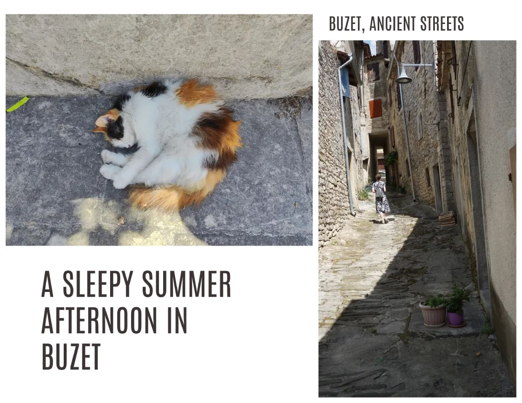 Buzet, sleepy in afternoon streets. Photo credit by Zdravko R., Jasna J.