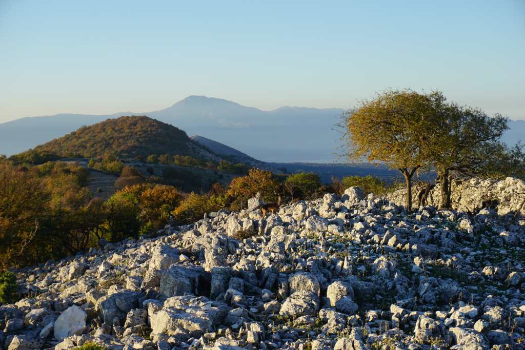 Cres, slow things to do, Sis. Photo credit Zdravko R.