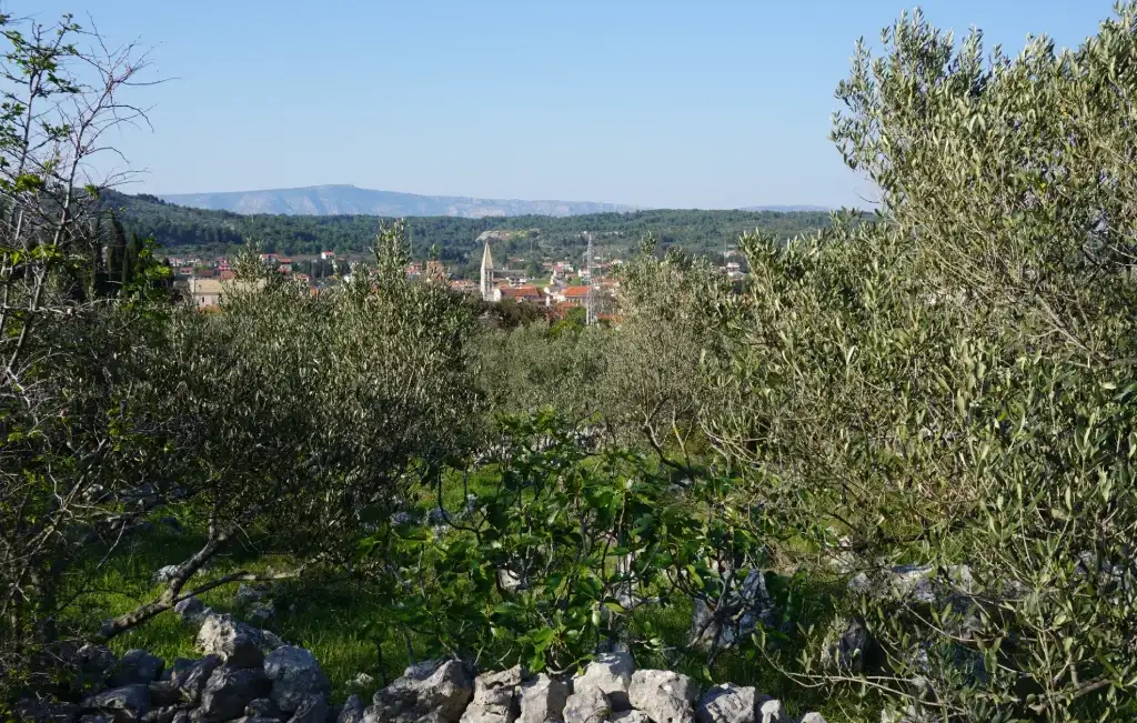 Step on Hvar: a guide to the highlights while slowing down on the sunniest island in Dalmatia