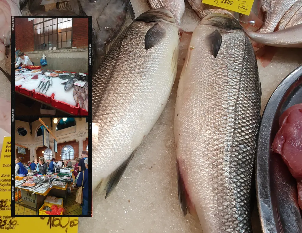 Rijeka, Morning voices from the Rijeka fish market. photo credit Zdravko R.