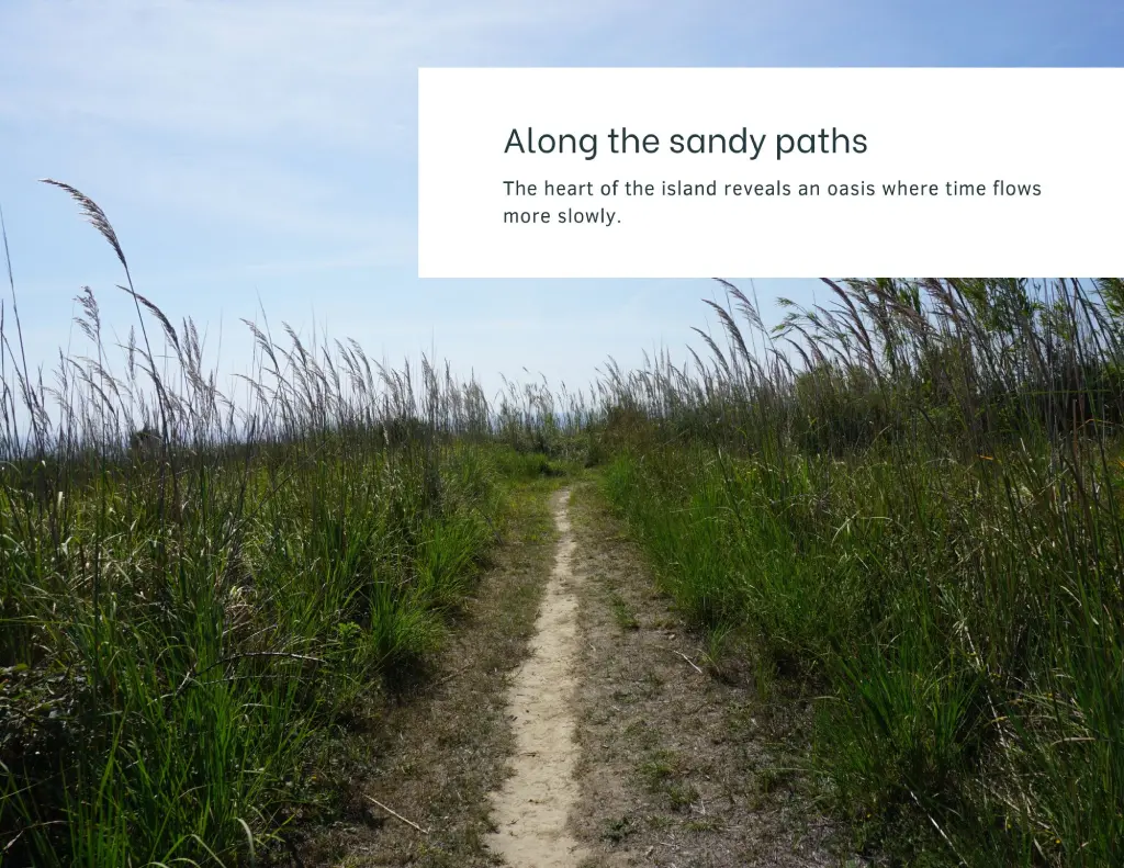 Sandy Susak, Filled With Sandy Paths. Photo Credit Zdravko R.