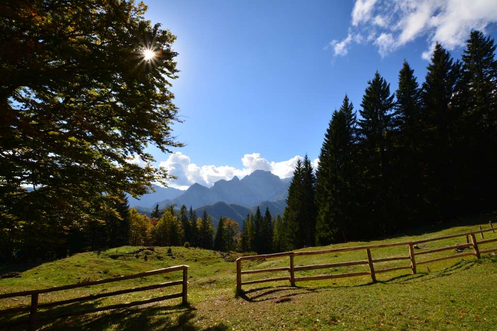 Vrtaško Sleme, green pasture.
