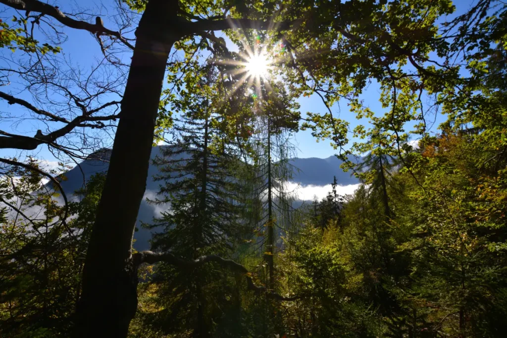 A scenic walk above Mojstrana to the grassy peak of Vrtaško Sleme