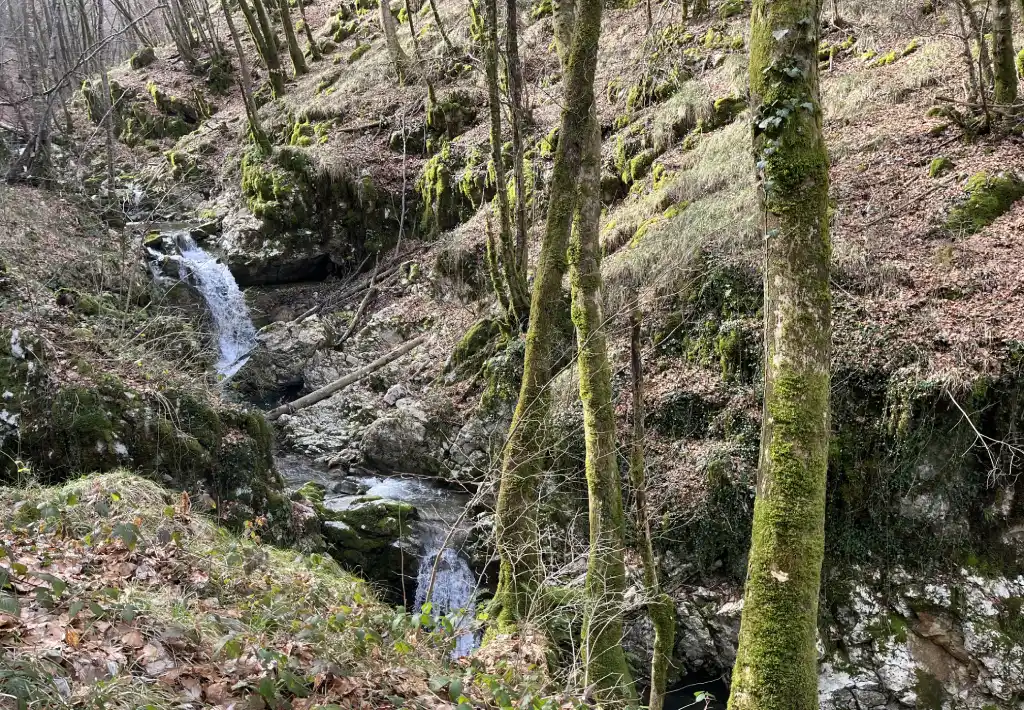 Banina waterfall landsapes. Photo credit Zdravko R., 2026